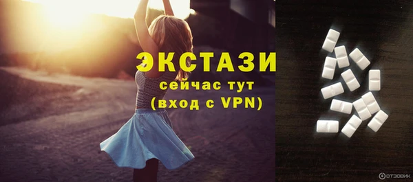 мдпв Рославль