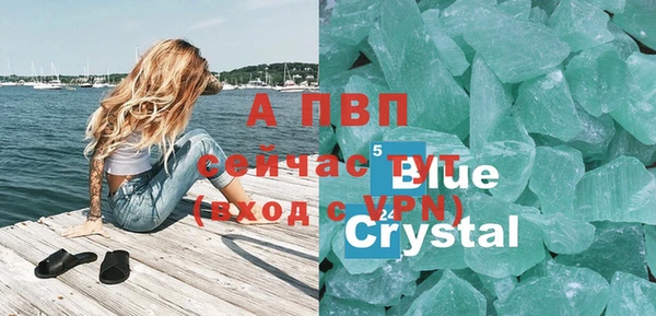 мдпв Рославль
