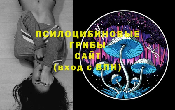 мдпв Рославль