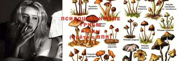 амф Ростов