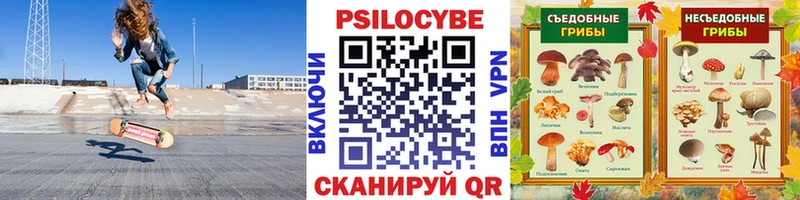 Псилоцибиновые грибы Psilocybe  Старая Купавна 