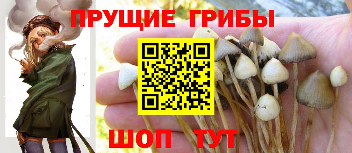 Старая Купавна  Псилоцибиновые грибы Psilocybe  Псилоцибиновые грибы Psilocybe  хочу   Вход с VPN 